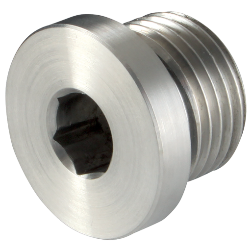 M10X1.0  MALE BLANKING PLUG 316