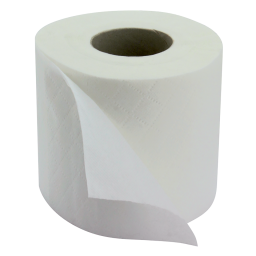 40 2 PLY WHITE TOILET ROLLS X 220 SHEETS