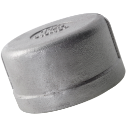 1/4 NPT F ROUND CAP 3K 316/L