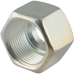 20S SILVER COATED NUT